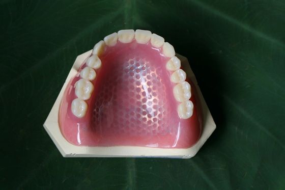 Частично обычного Denture ISO13485 верхнее акриловое
