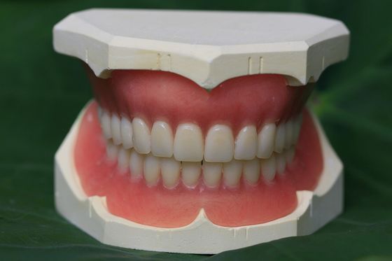 Немедленный Denture Denture ISO13485 акриловый частично