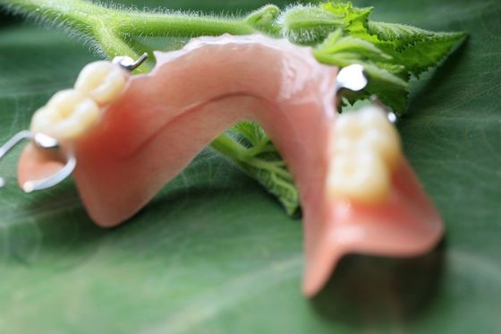 Частично съемный акриловый частично Denture