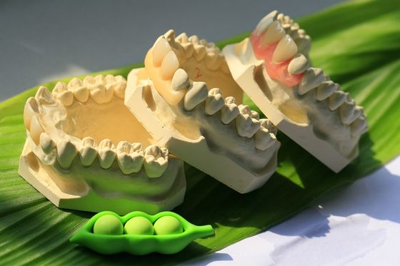 Гибкий невидимый Denture