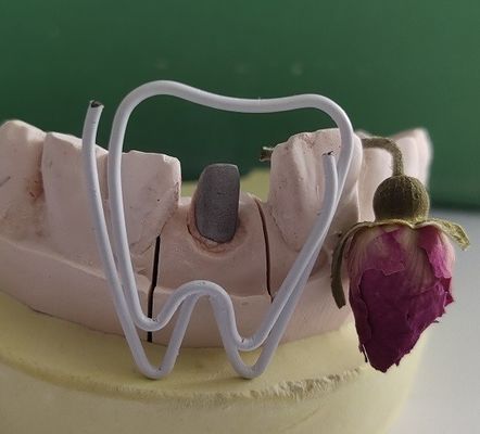 Столб и ядр металла зубоврачебные после Endodontic обработки