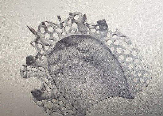 Рамки металла Denture сплава титана дизайна CAD частично