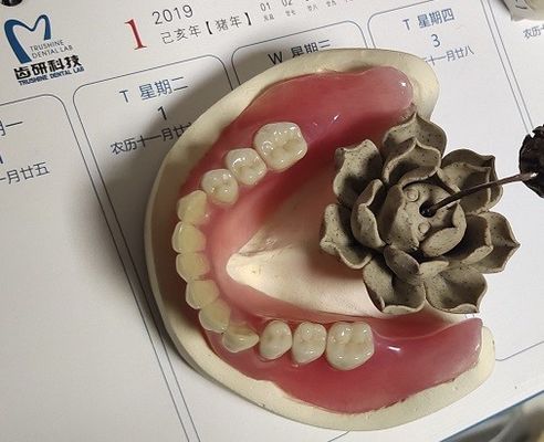 Стабилизированные удобные акрилового частично BPS Denture Denture