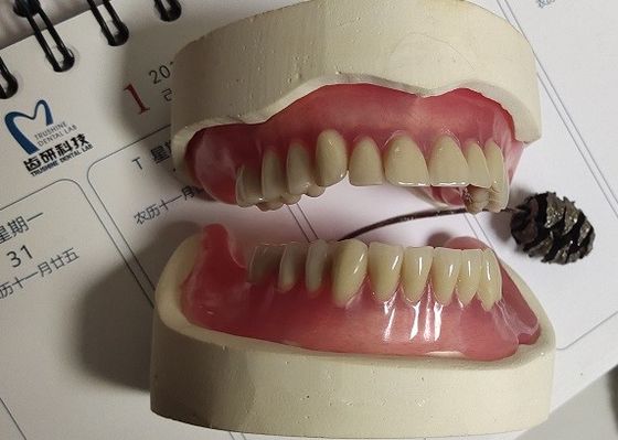 Немедленный Denture Denture ISO13485 акриловый частично