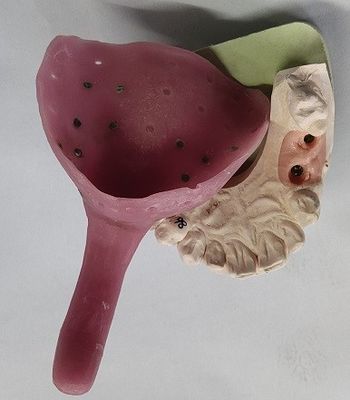 Изготовленные на заказ подносы впечатления Denture
