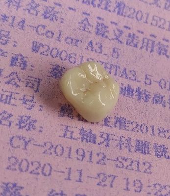 Zirconia преграждает зубоврачебную печать 3D фрезерованием кулачков CAD