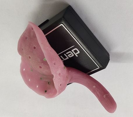 Подносы Trushine Premade изготовленные на заказ для Dentures другие зубоврачебные продукты