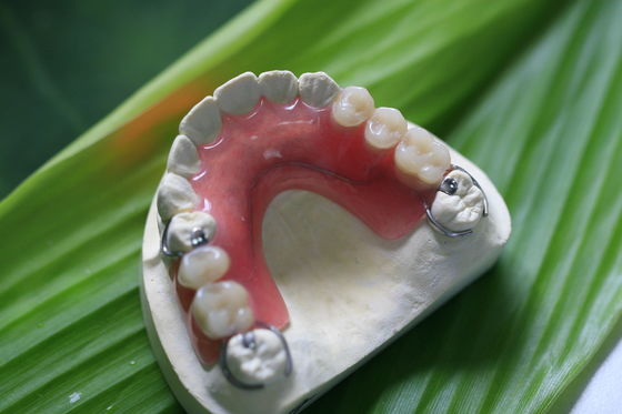 Частично гибкий невидимый Denture для Anterior зубов